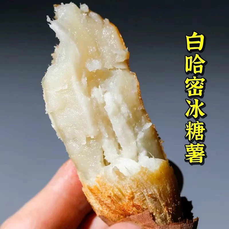 【田园刘娟】哈密冰糖蜜薯5斤装