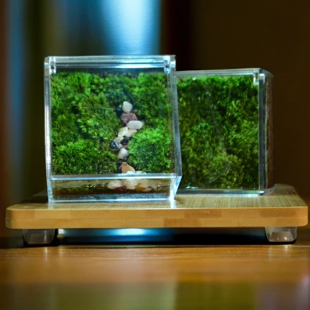 F4【绿意悠悠】桌面微景观苔藓绿植纯手工盆栽盆景懒人植物送礼礼品