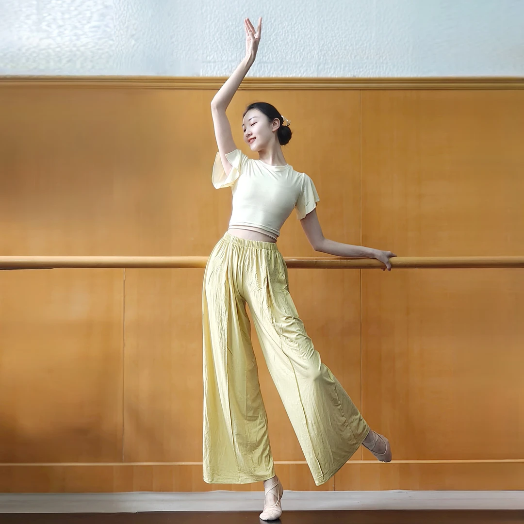 现代舞上衣古典舞练功服夏季中国舞服装女款新款立领时尚舞蹈衣服