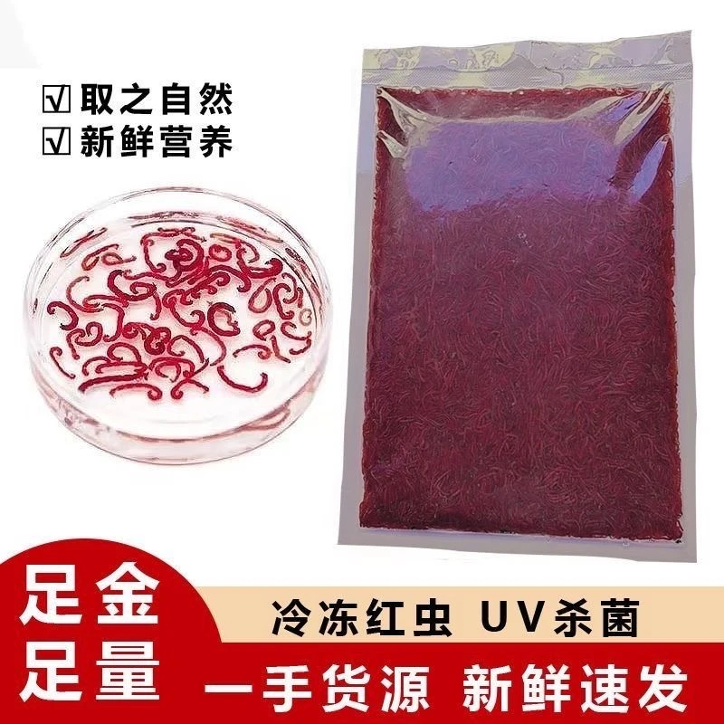 优质新鲜冰冻红虫鱼食营养促进观赏鱼健康投喂金鱼热带鱼料鱼粮