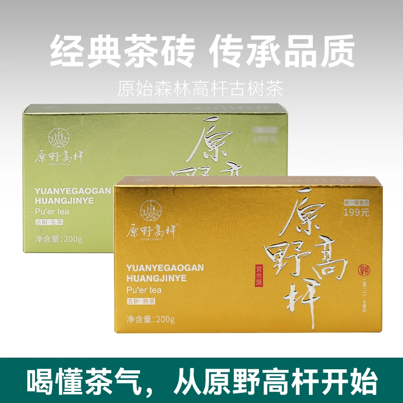 原野高杆黄金叶高杆古树系列古树生茶古树熟茶