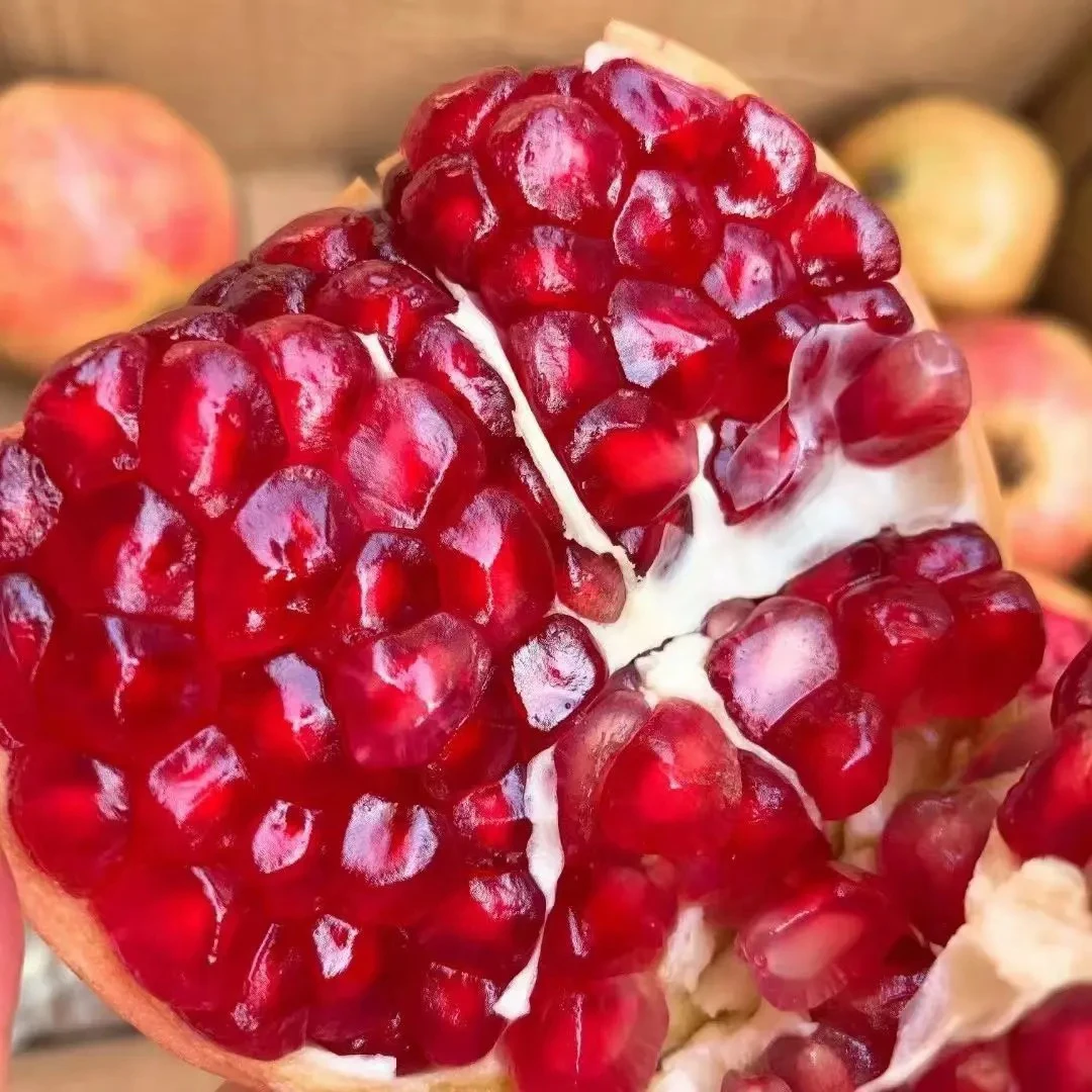 四川会理突尼斯软籽石榴 香甜多汁（净重3斤/5斤/8斤）现摘现发