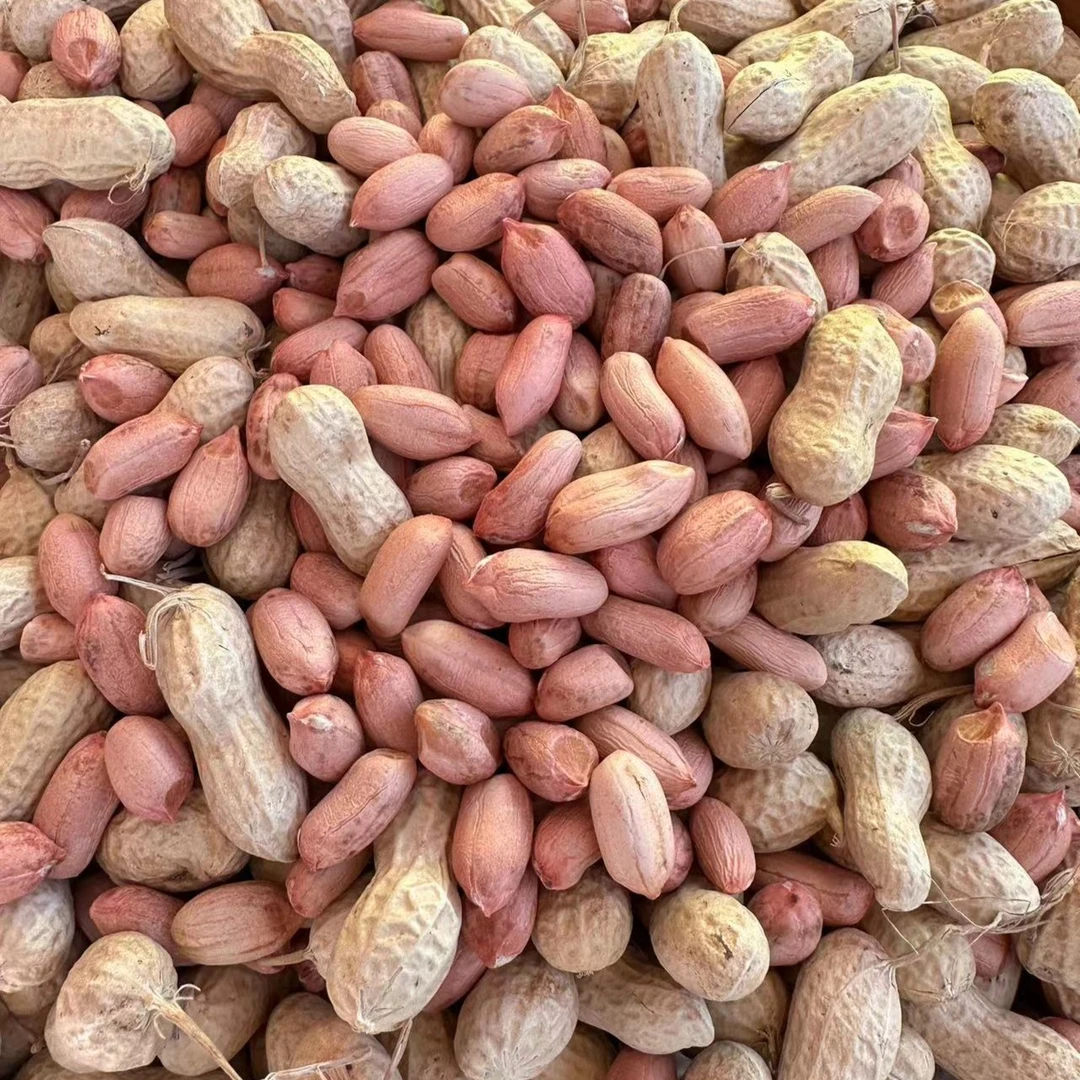 2023新天府晒干花生（净含量3斤/5斤/8斤）包邮到家