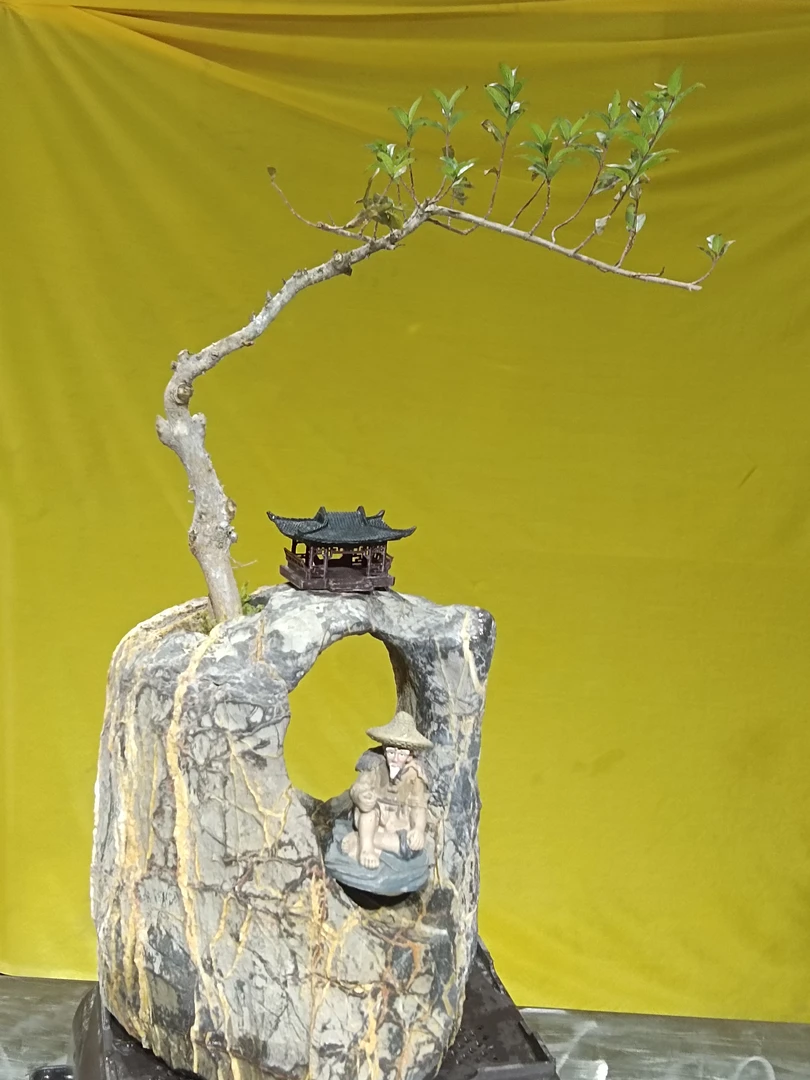 穿孔石魚缸造景石包根素材