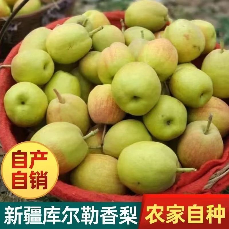【头茬新梨顺丰】正宗库尔勒香梨梨子酥甜多汁当季新鲜孕妇水果香梨