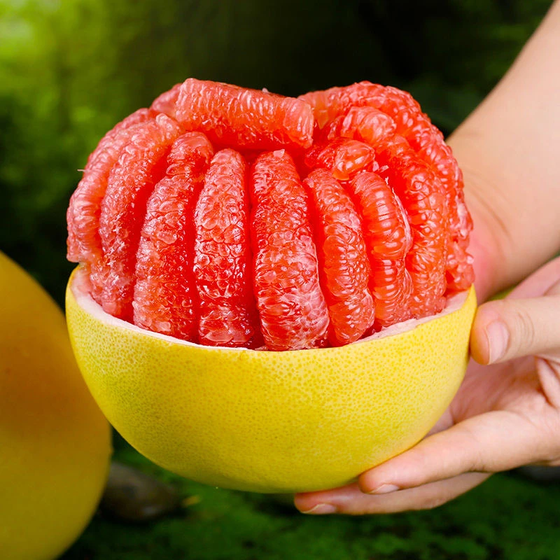 【精品红心柚】福建平和红心柚酸甜可口应季水果蜜柚一件批发