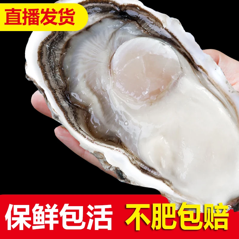 【冷链发货】乳山生蚝原产地直发净重5斤装2-3两包邮到家1