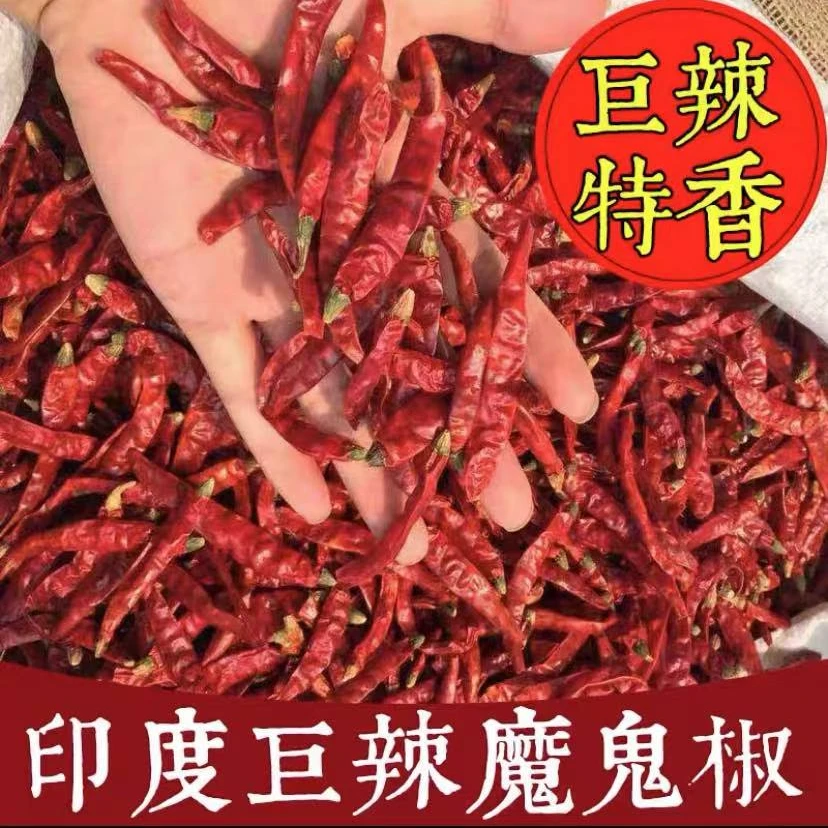 自然晒干变态特辣爆辣美味魔鬼辣巨辣风干特香特辣超辣魔鬼辣椒