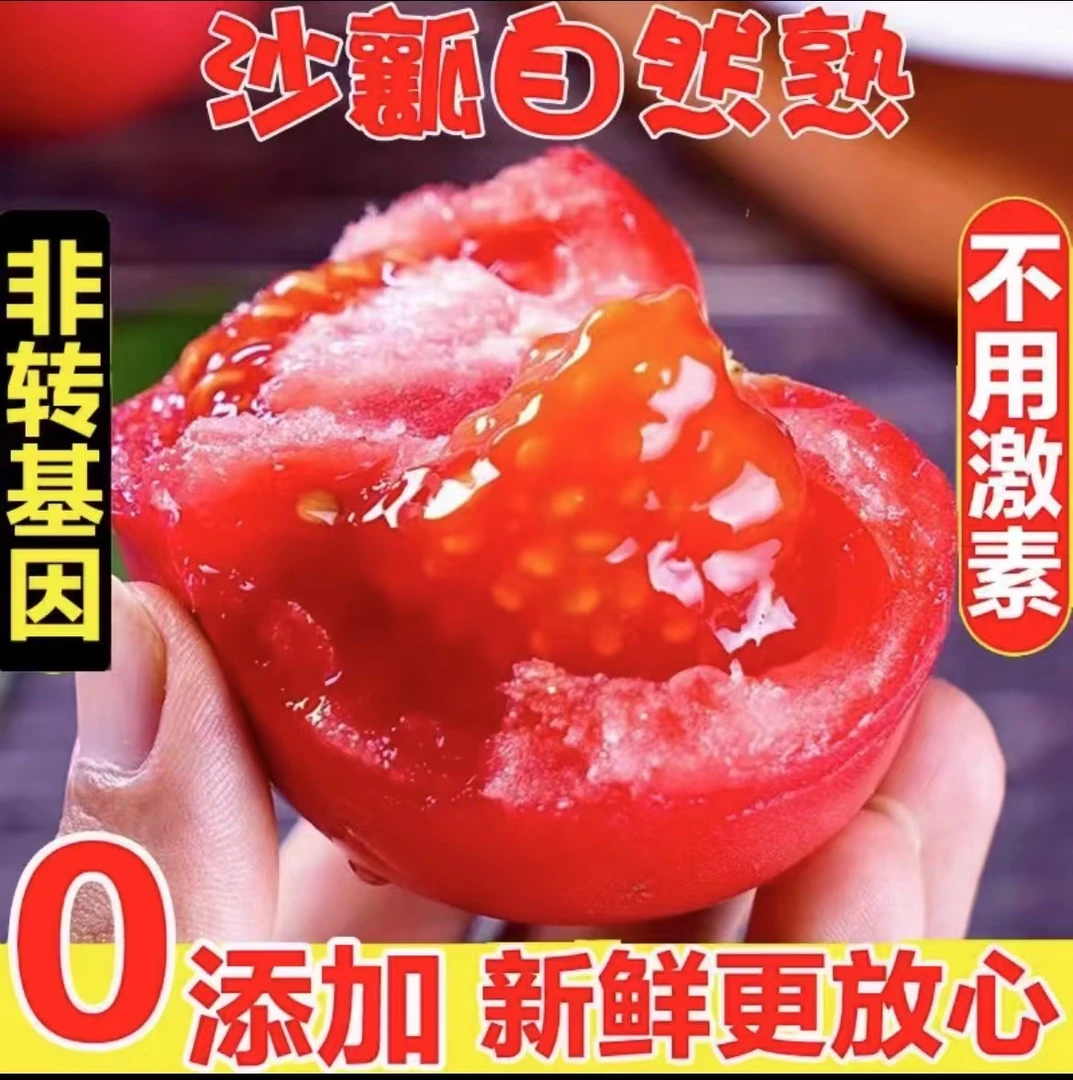 【露天西红柿】四川高山自然熟种植沙瓤西红柿粉番茄新鲜水果蔬菜