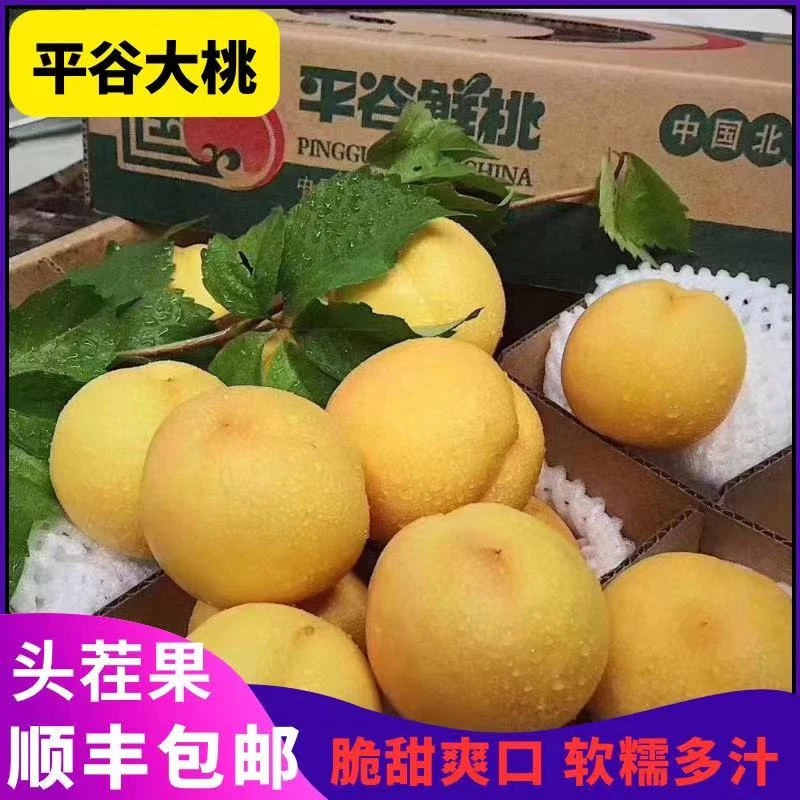 正宗平谷大桃黄金油桃当季新鲜金明黄油桃久保果园直发脆甜多汁