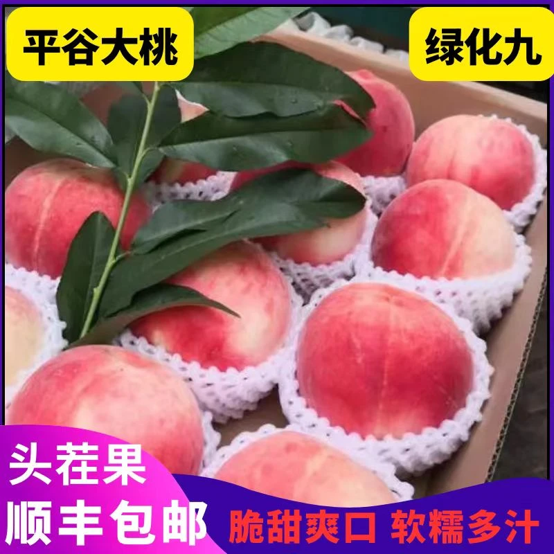 绿化九9号北京正宗平谷大桃新鲜桃现摘现发顺丰硬吃脆甜软多汁香