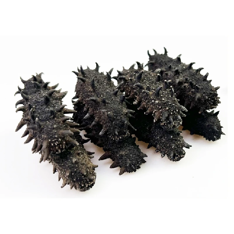 山海汇 广东 海参 胶1-500