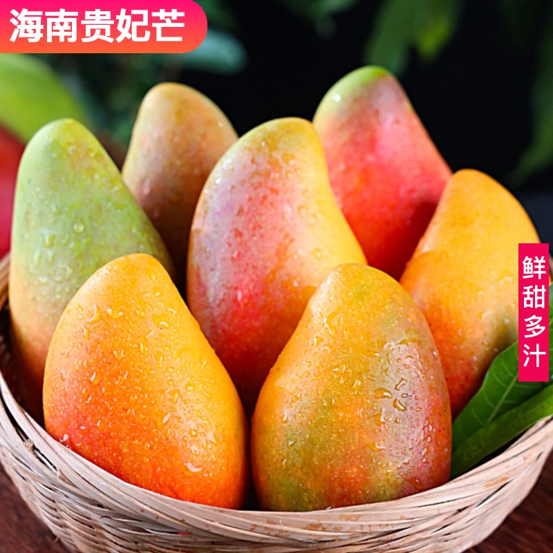 海南贵妃芒新鲜现摘5/9斤精品水果香甜多汁三亚红金龙优质产地