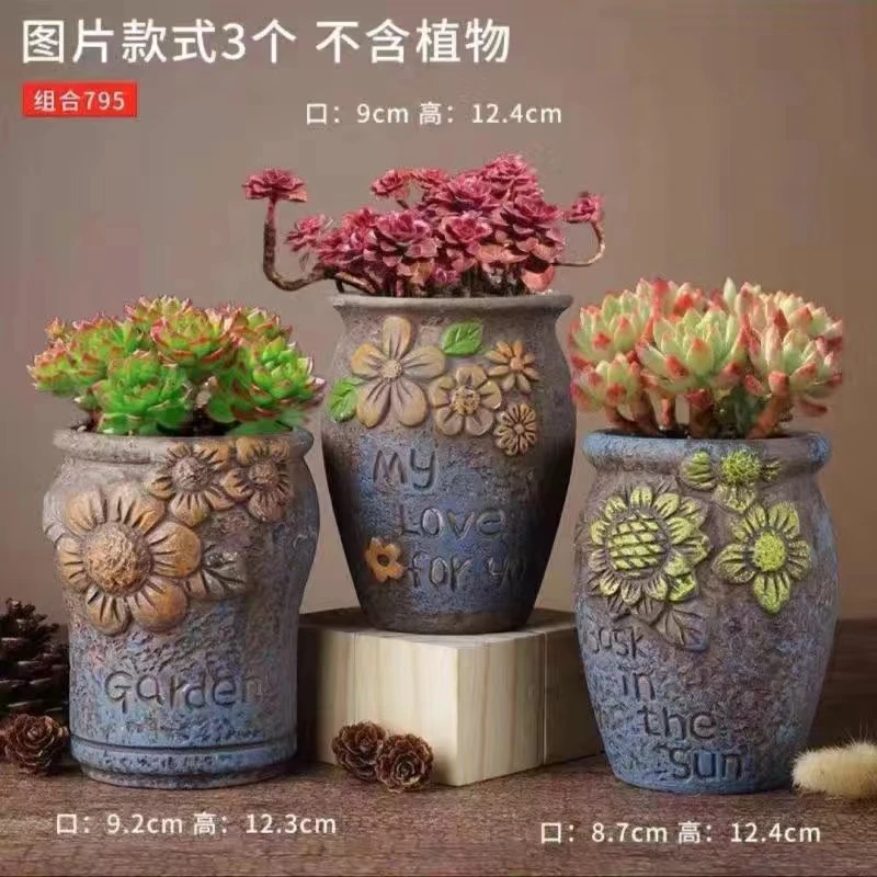 多肉花盆三个创意老桩组合