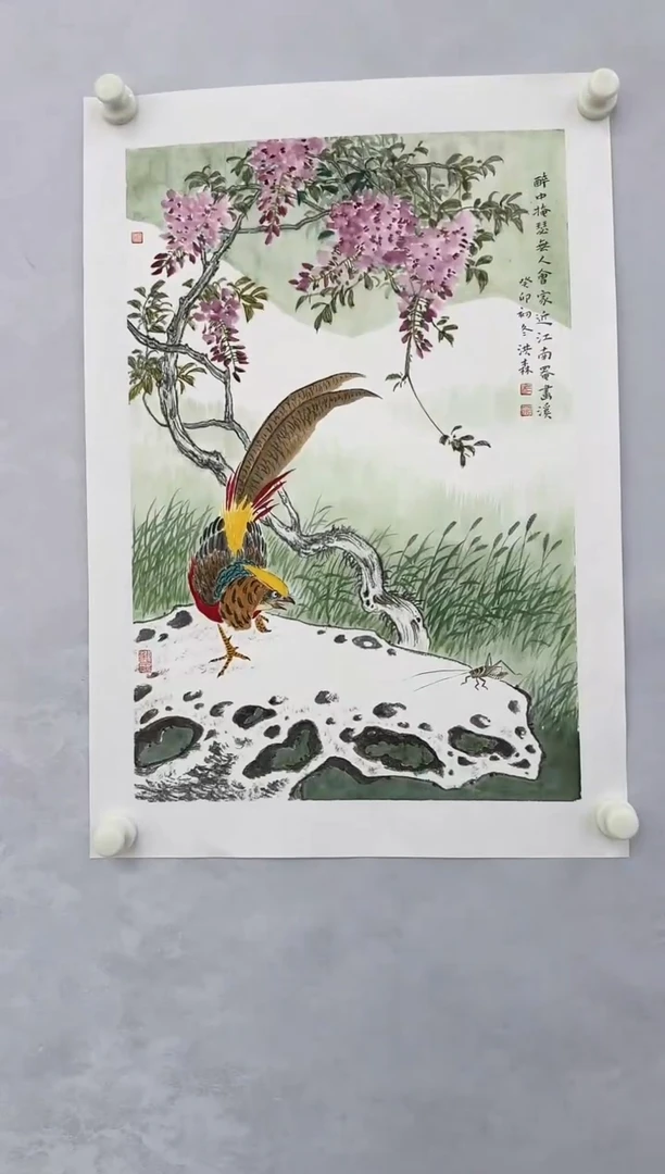 【闪购商品】绘画HS，DZ