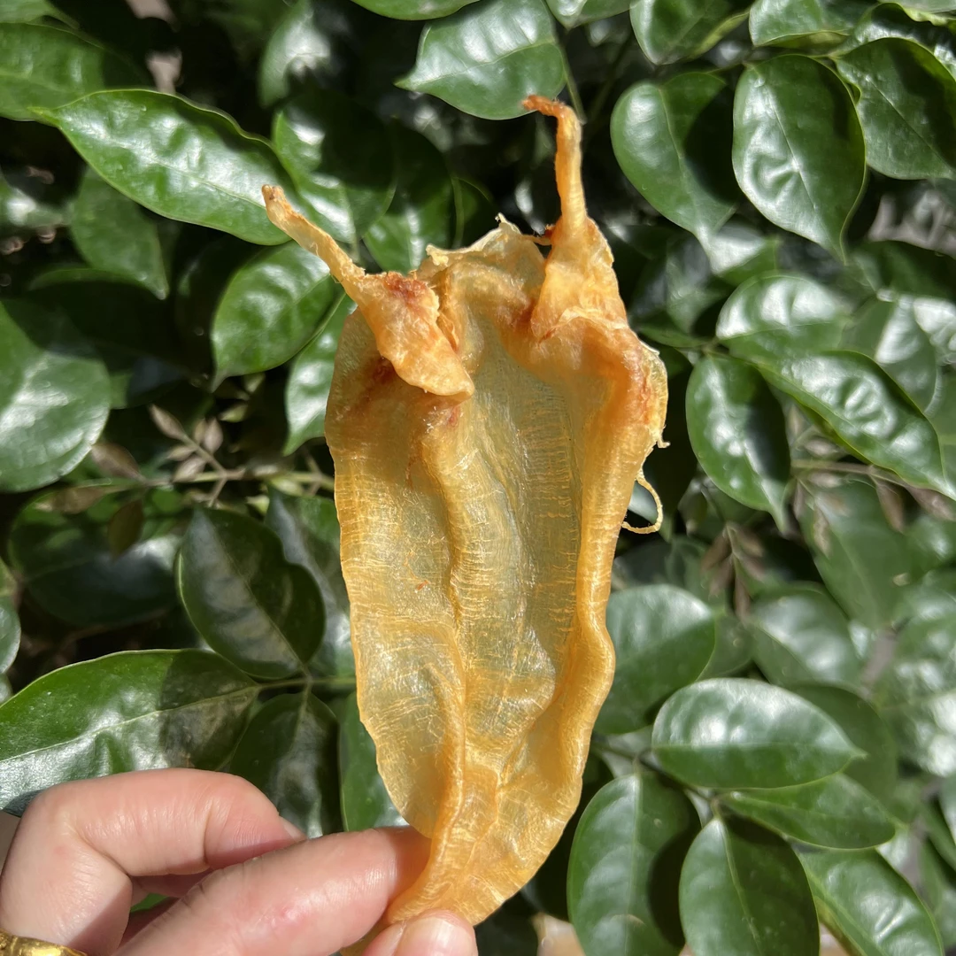 北海公胶鱼胶花胶汕头南澳岛胶己人干货海产品50克/250克/500克