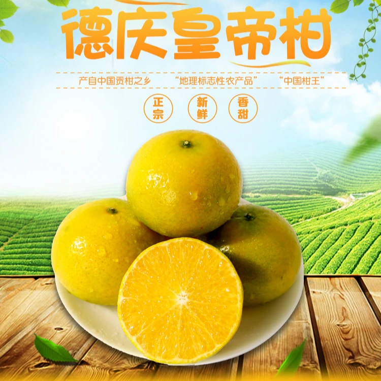 五斤精品德庆皇帝柑优选新鲜贡柑老树果皮薄厚肉纯甜爆汁顺丰速发