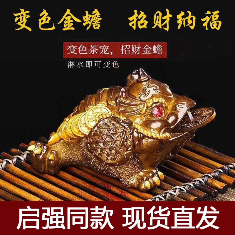 启强同款变色茶宠摆件可养招财变色大金蟾蜍荔枝茶玩精品茶具配套