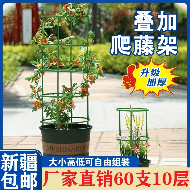 【新疆包邮】花架支架支撑圈自由拼接组装防倒伏大小爬藤架绿植园艺