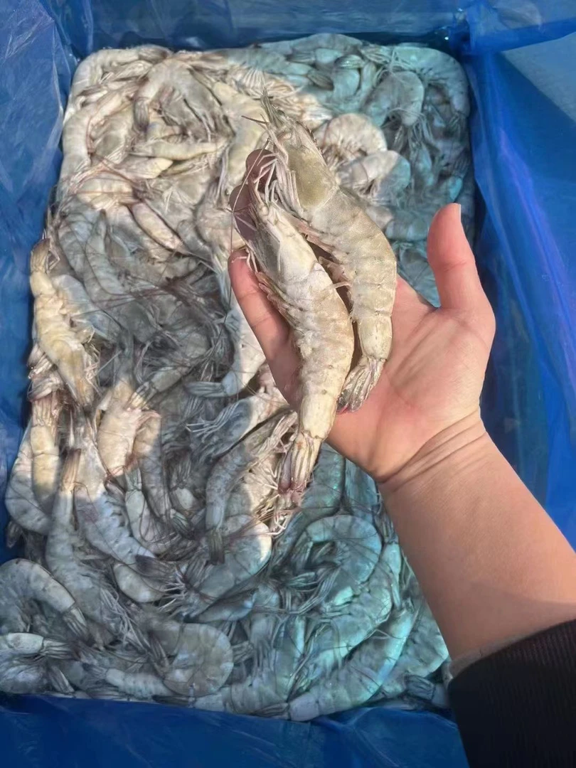 盐冻大虾，规格30-40，一盒25条