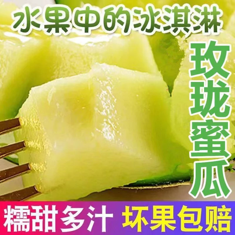 正宗海南网纹瓜玫珑瓜沙地冰淇淋哈密瓜软糯当季新鲜现发1-9斤装