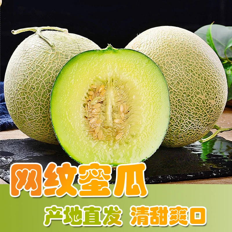海南玫珑瓜网纹瓜哈密瓜新鲜热带水果西州蜜甜瓜现摘现发1-9斤装