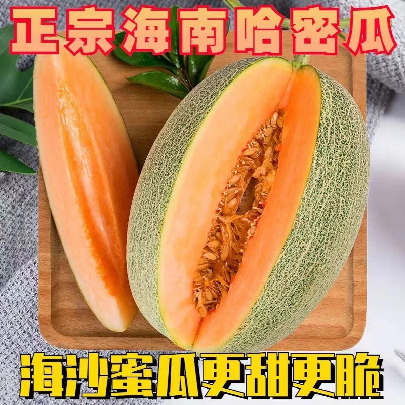 【半价冲量】正宗海南密瓜蜜瓜现摘现发脆甜爽口细腻口口蜜1-9斤装