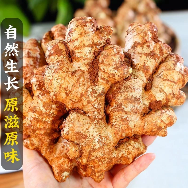 【配料生姜】云南小黄姜嫩姜鲜姜生姜新鲜姜0.5-9斤现挖姜嫩姜姜芽