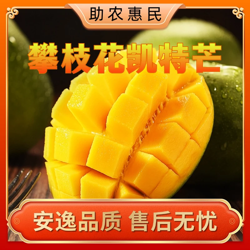 【攀枝花大芒果】产地攀枝花凯特芒果软糯多汁新鲜香甜绿色包赔