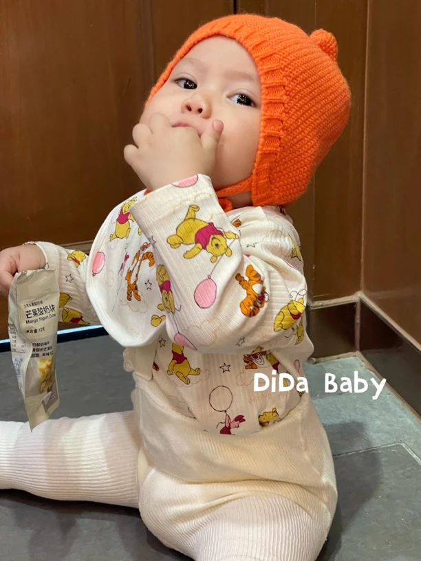 【维尼与跳跳虎】宝宝四季款长袖连体包屁衣卡通可爱印花三角爬