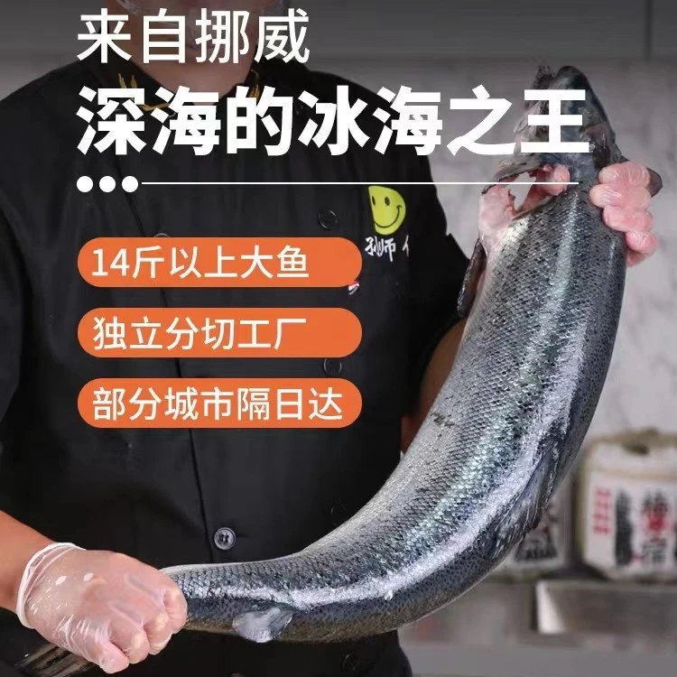 好吃的鱼仙子 挪威  改价  头刀  （三文鱼16斤大鱼现切） 专场