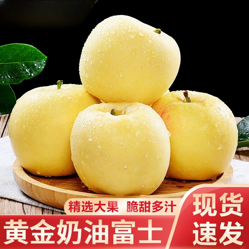 【坏果包赔】正宗山东烟台黄金奶油富士苹果脆甜白苹果新鲜冰糖心果