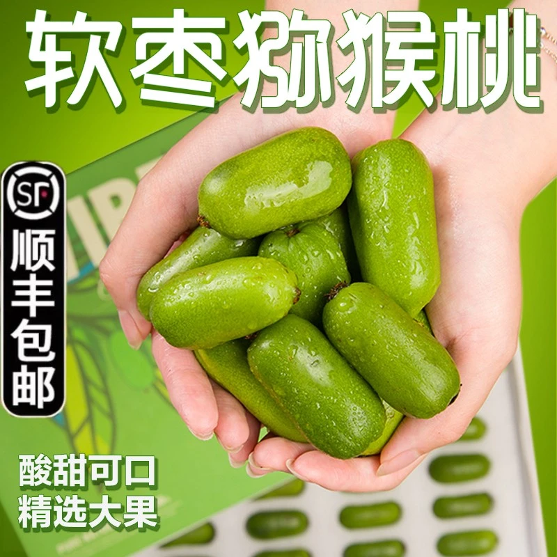 【顺丰包邮】丹东软枣猕猴桃东北软枣小猕猴桃新鲜奇异莓新鲜猕猴桃