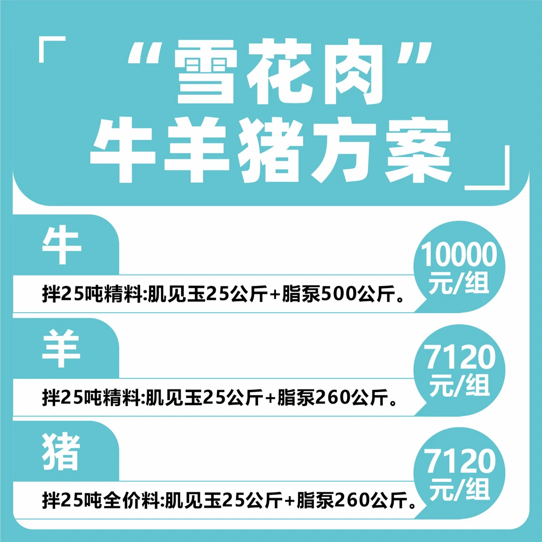 酸哥—黑猪、安格斯肉色肉质代谢健康包