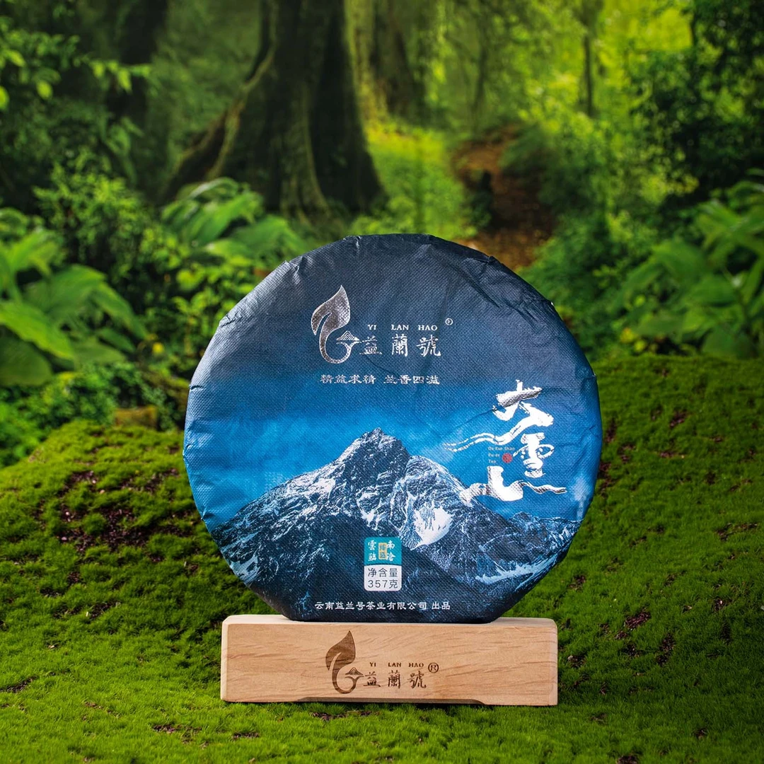 2025年大雪山古树普洱茶生茶