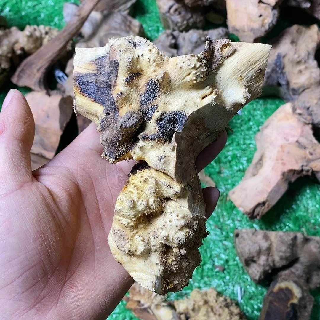 麻疙瘩161616用***华