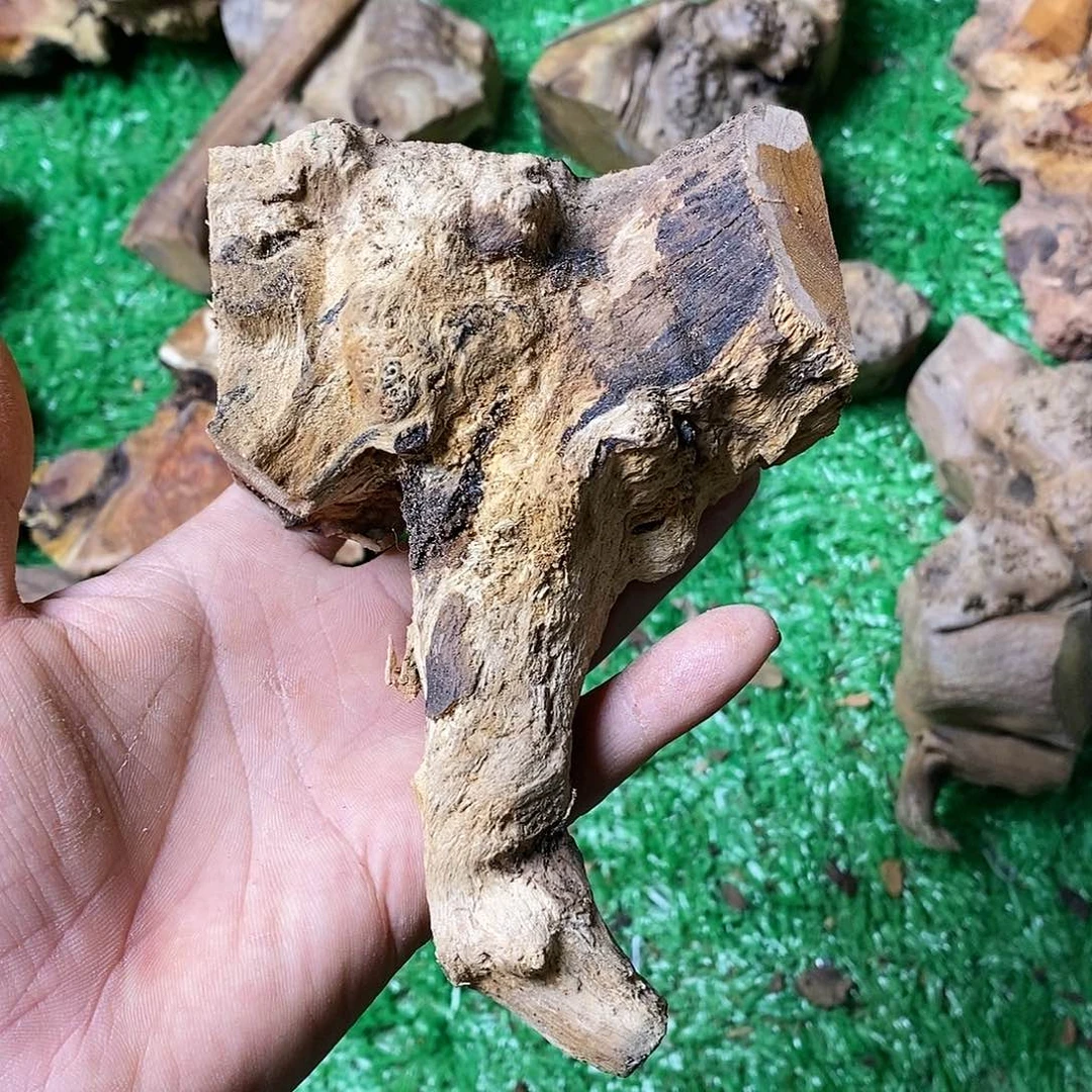 麻疙瘩161616岳*成