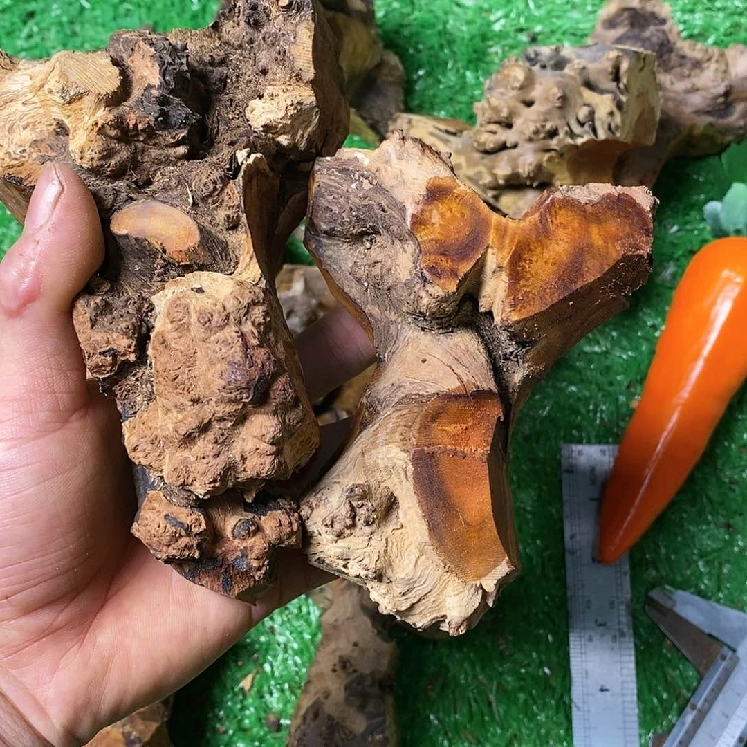 麻利疙瘩115灵*14488