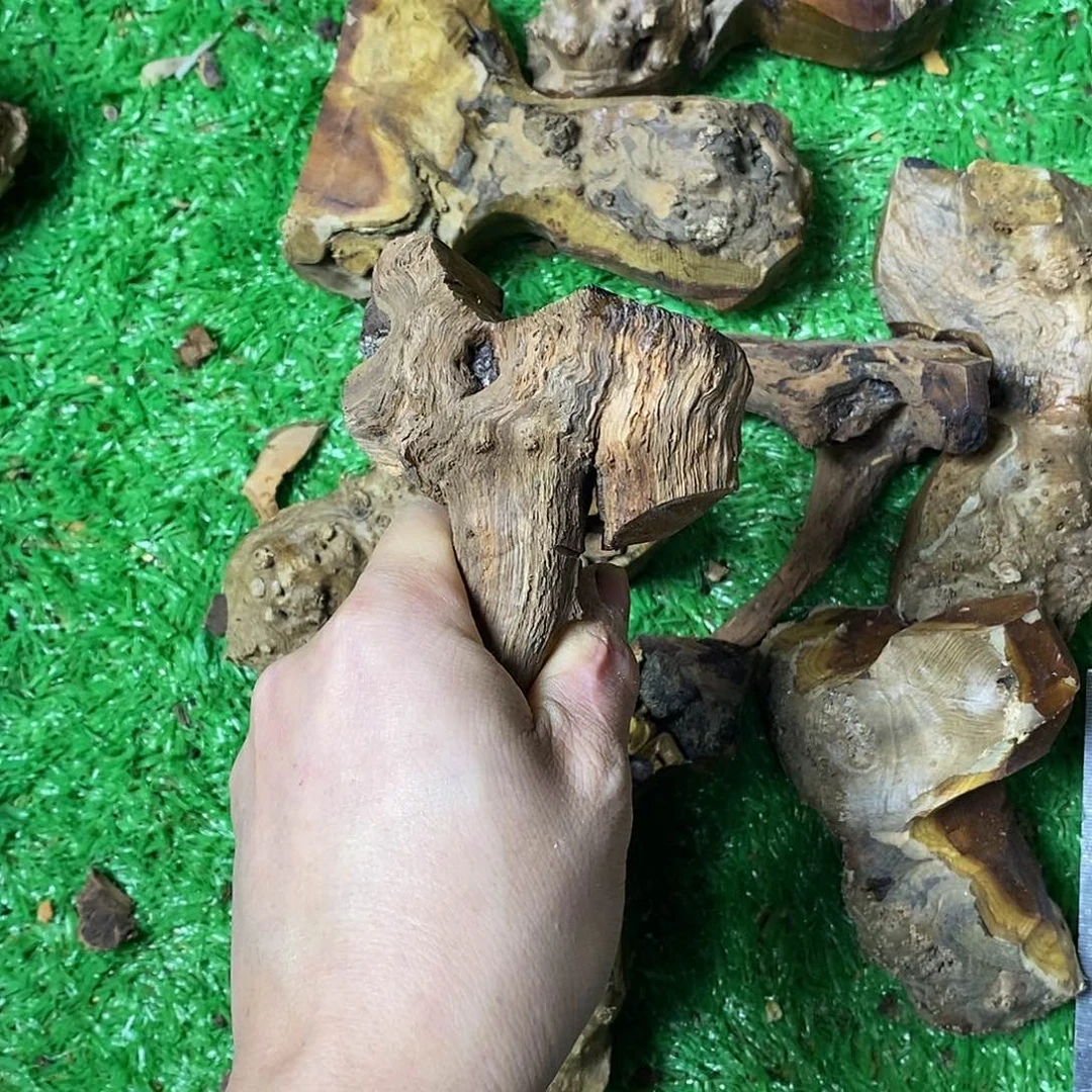 麻利疙瘩1111安*168