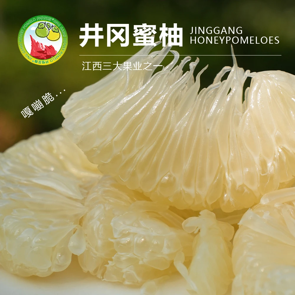 正宗江西井冈蜜柚金沙柚金兰柚安福蚕子纯甜清凉老人小孩吉安产地