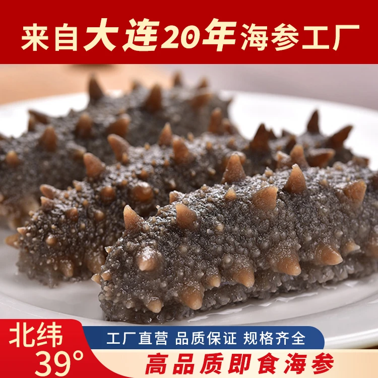 【源头好货】即食海参500g 大连辽刺参