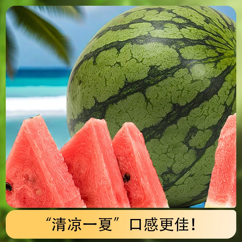 【福利京东发】2只装南汇麒麟无籽6.5-8斤大西瓜京东发货 快捷安心