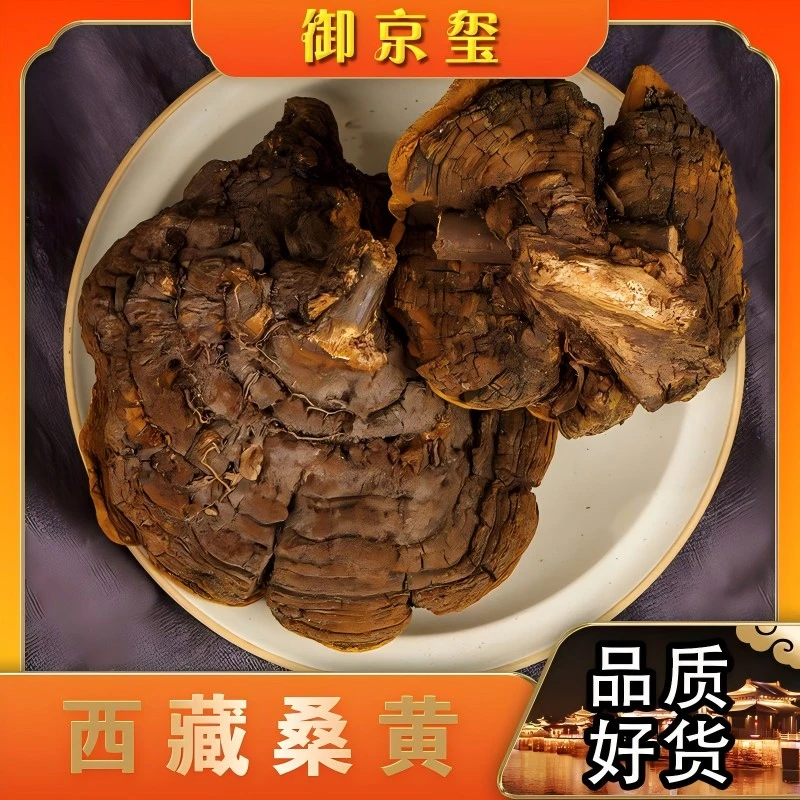 【御京玺】精选桑黄 干货