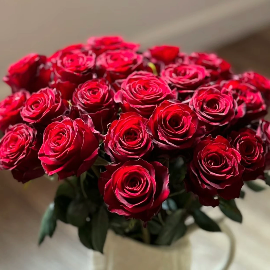 【高原红】玫瑰鲜花 云南基地直发 任意2单冷链包邮送货上门