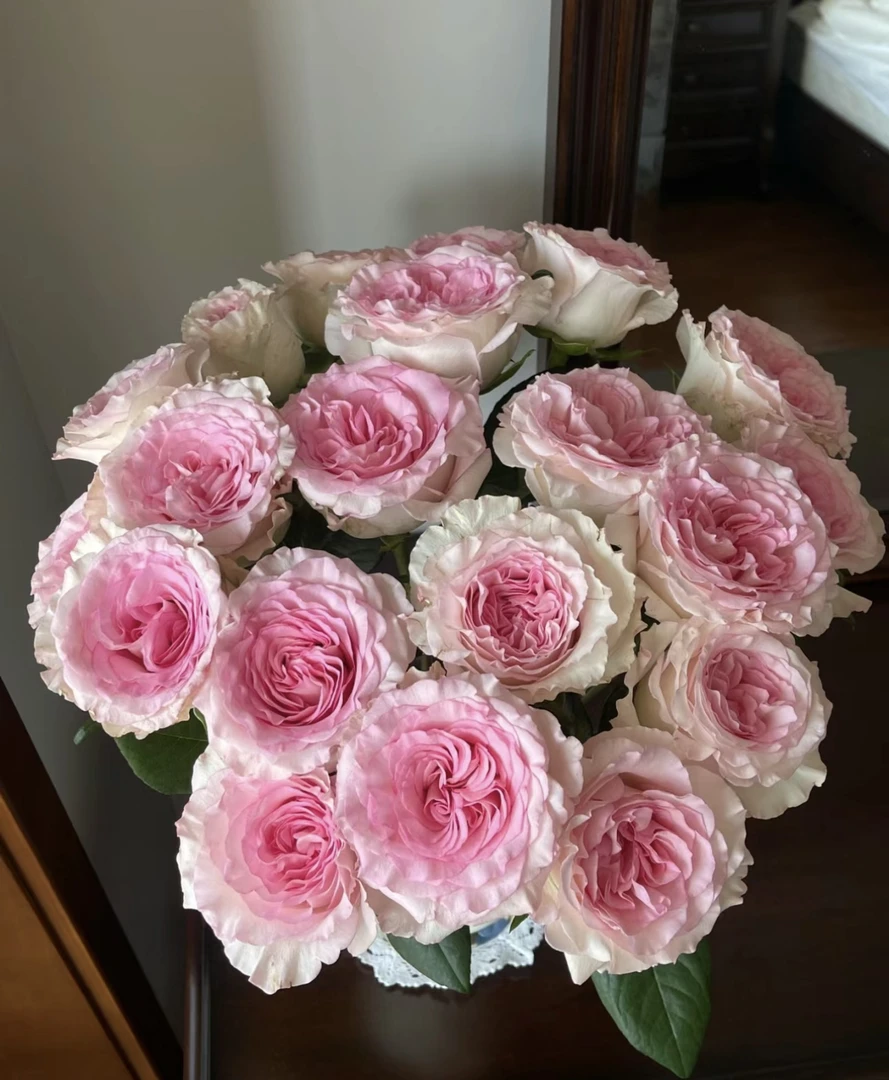 【洛神】玫瑰鲜花 云南基地直发 任意2单冷链包邮送货上门