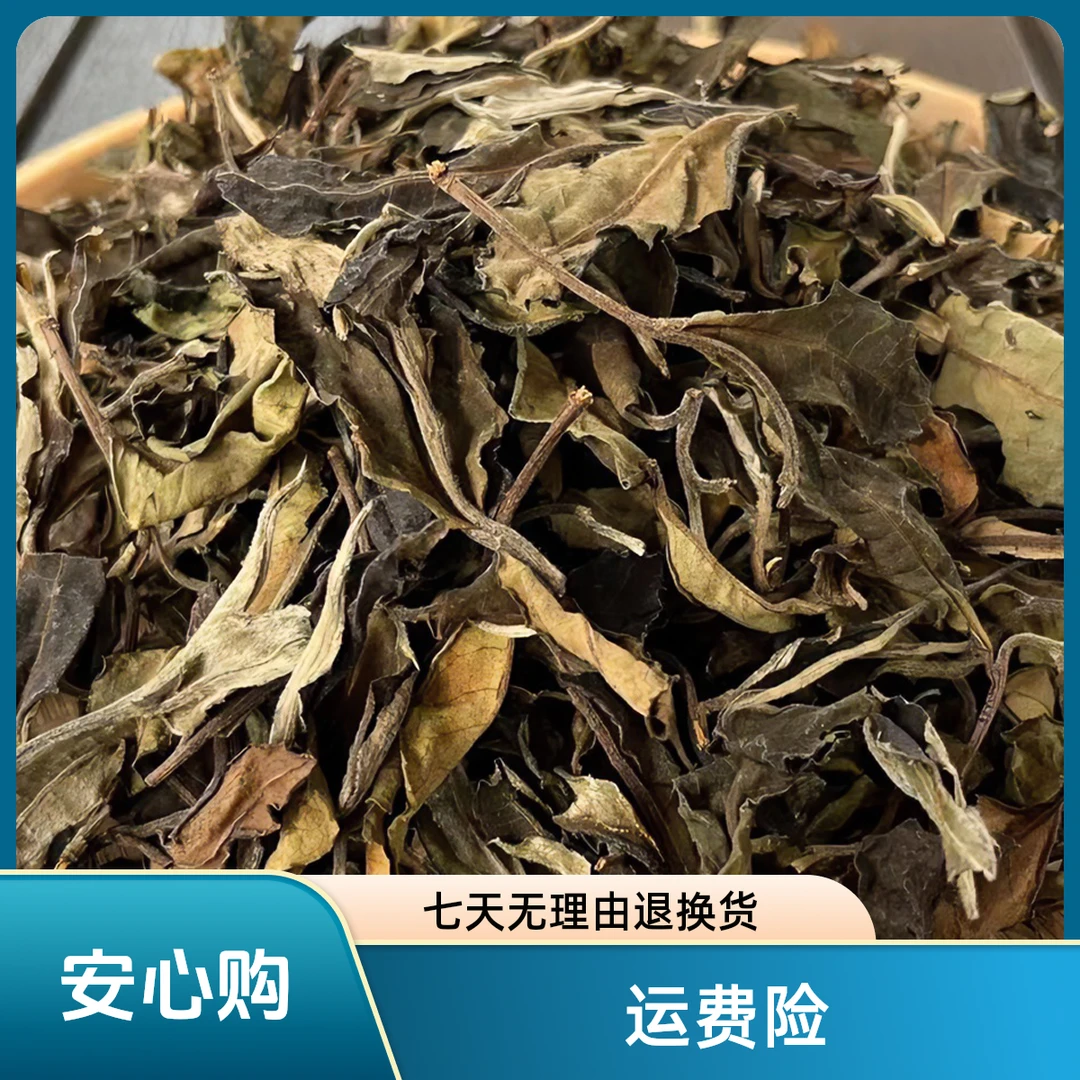 2023年古树白茶散茶生茶花果香