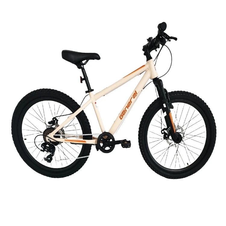 24英寸青少年男女铝合金山地自行车舒适防滑骑行