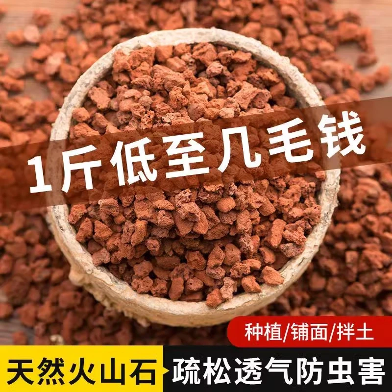 天然火山石颗粒红火山岩底砂多肉兰花石鱼缸专用营养土滤材铺面石