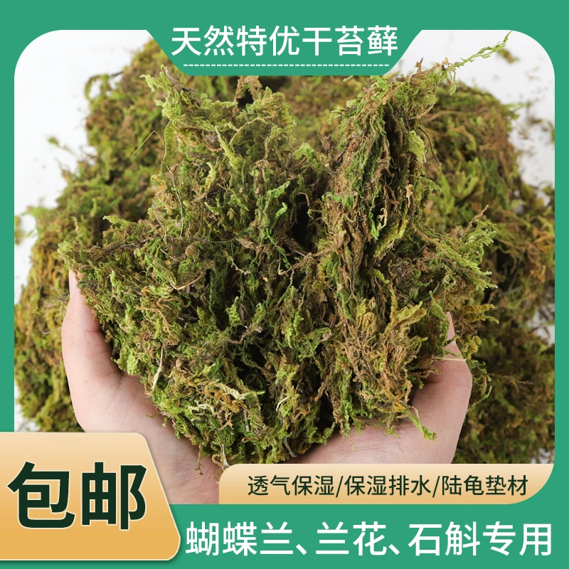 蝴蝶兰花专用干苔藓青苔干水苔石斛育苗种植营养土乌龟冬眠干水草