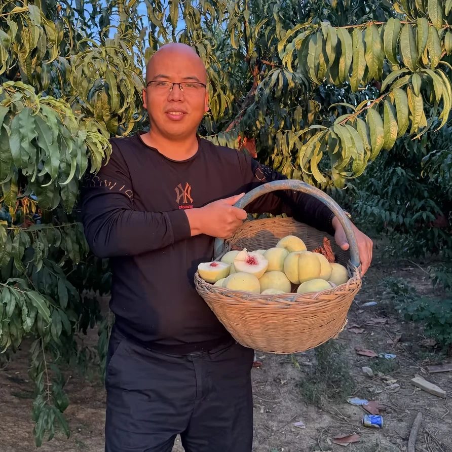 河南泌阳冬桃 口感非常甜4.8~5.4斤/8个~12个/箱  14~16个/5斤/箱